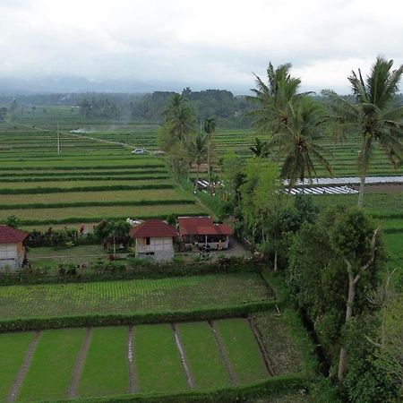 New Rinjani Homestay Тетебату Экстерьер фото