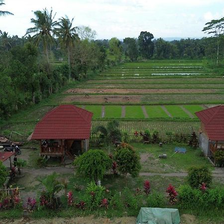 New Rinjani Homestay Тетебату Экстерьер фото