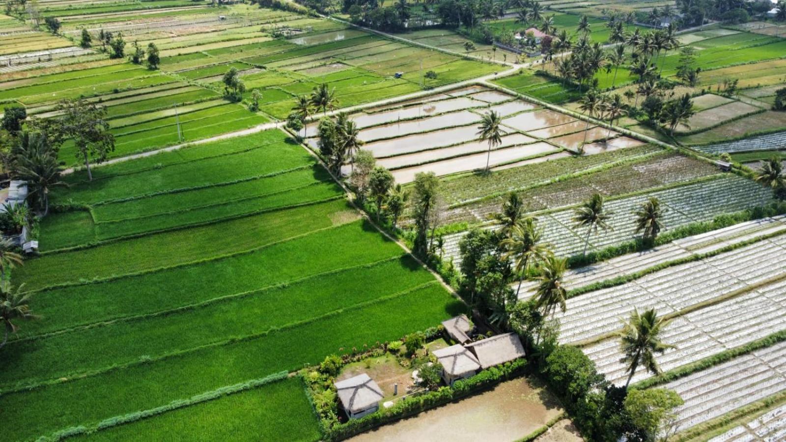 New Rinjani Homestay Тетебату Номер фото