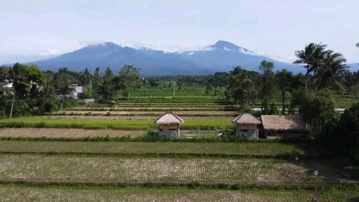 New Rinjani Homestay Тетебату Экстерьер фото