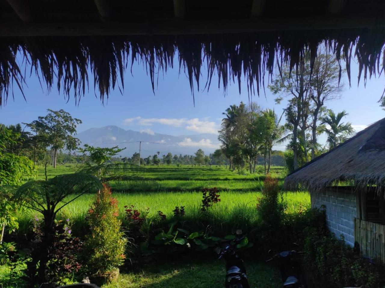 New Rinjani Homestay Тетебату Экстерьер фото