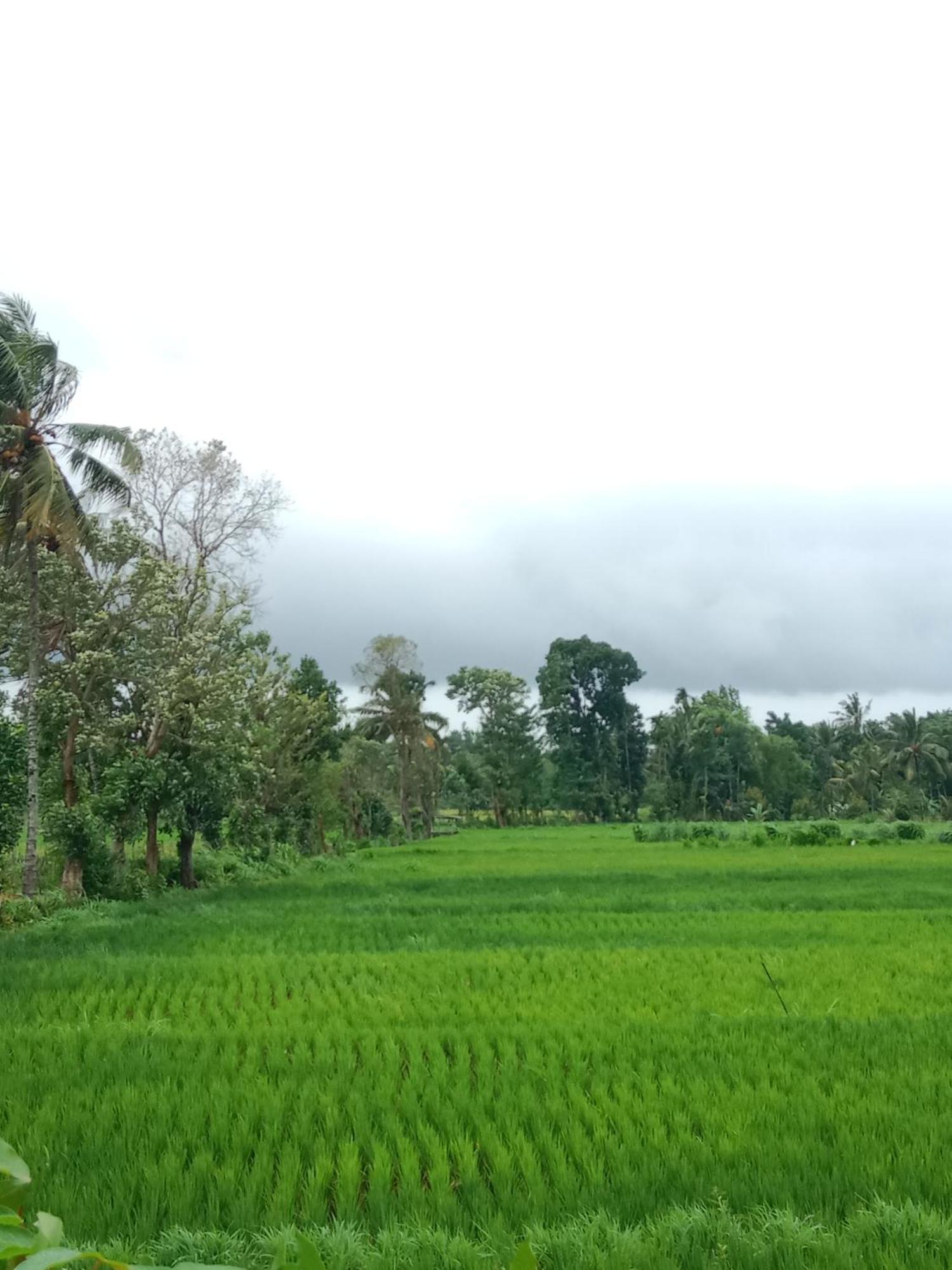 New Rinjani Homestay Тетебату Экстерьер фото