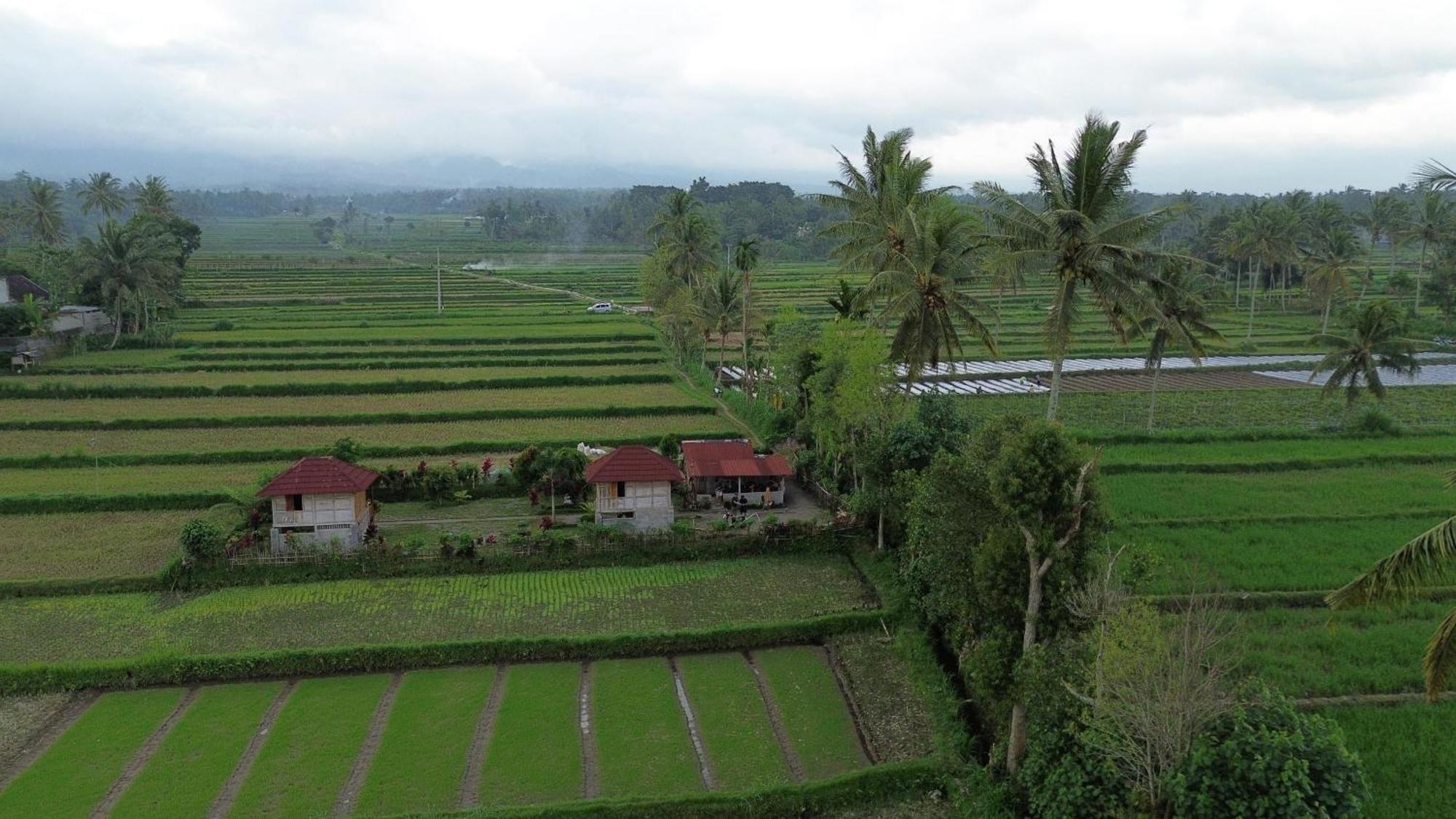 New Rinjani Homestay Тетебату Экстерьер фото