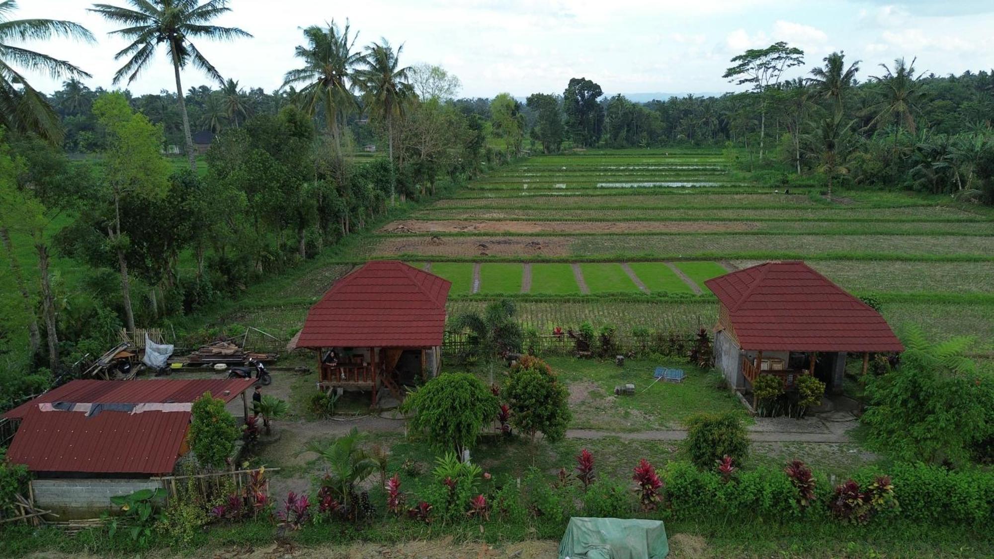 New Rinjani Homestay Тетебату Экстерьер фото