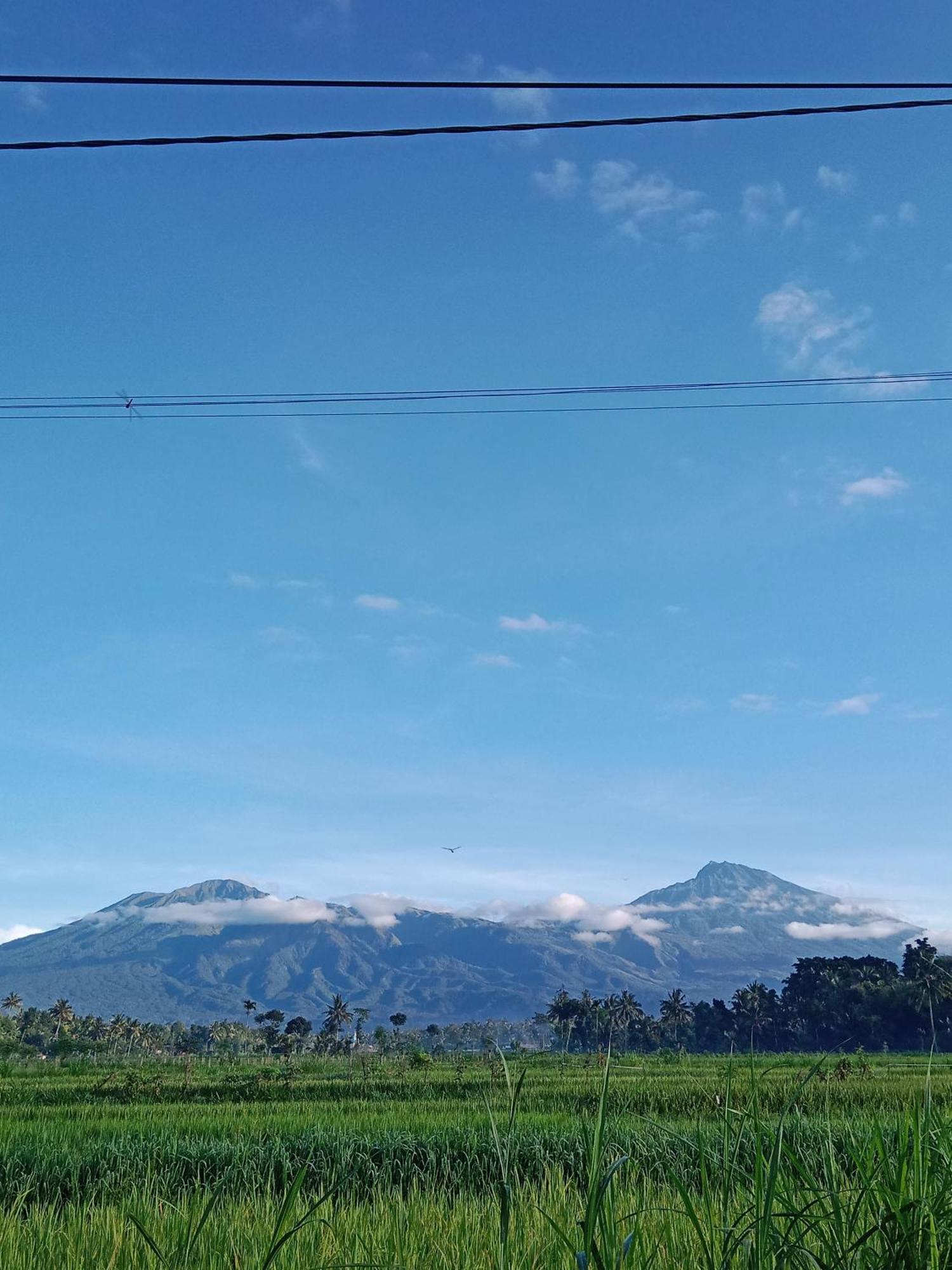 New Rinjani Homestay Тетебату Экстерьер фото