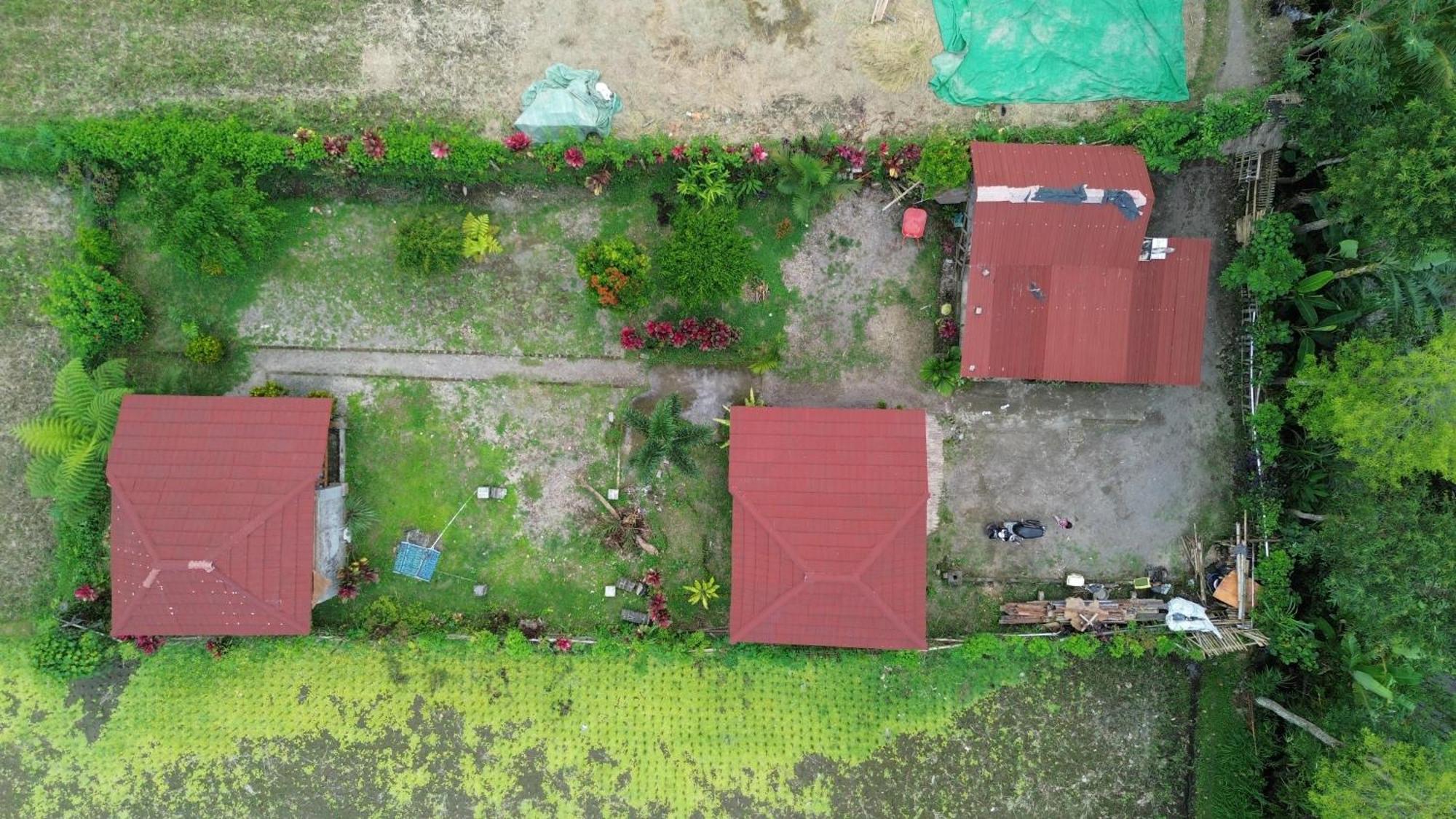 New Rinjani Homestay Тетебату Экстерьер фото
